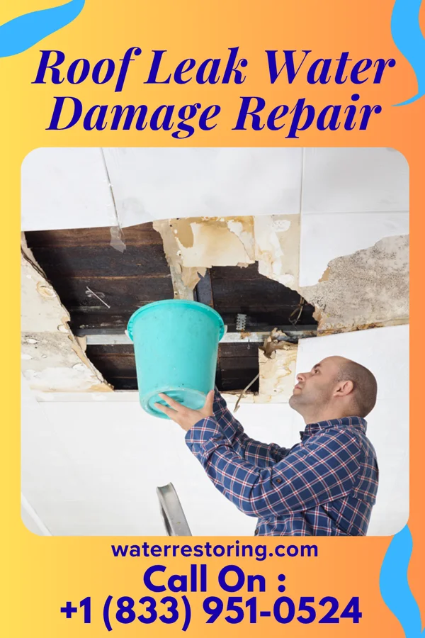 Roof Leak Water Damage Repair in Waverly, KS