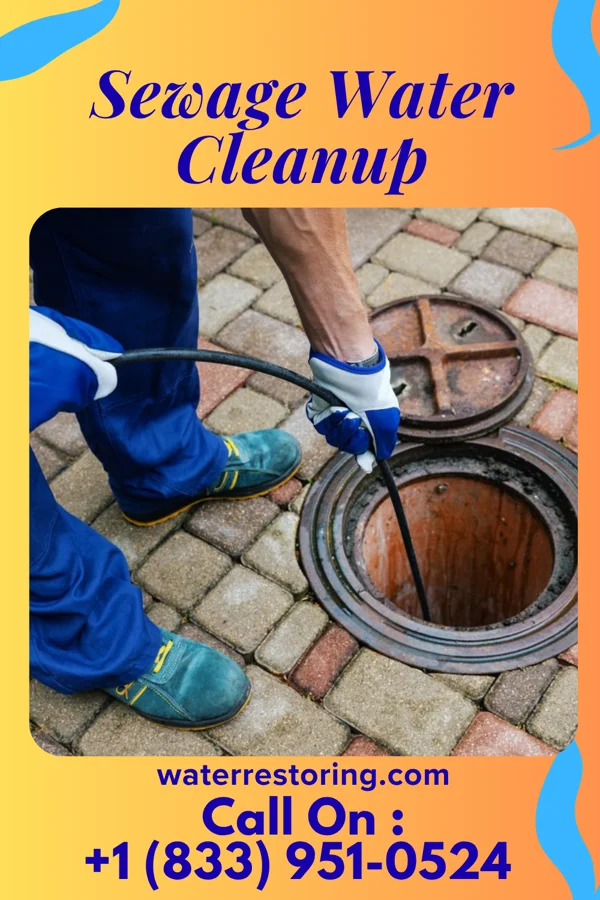 Sewage Water Cleanup in Waverly, KS